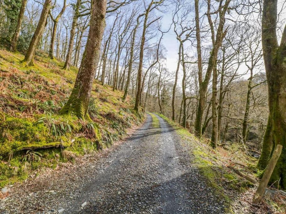 Willa Y Cwtch - Panoramic Mountain Views Within Snowdonia'S National Park - 4X4 Recommended Dolgellau Zewnętrze zdjęcie