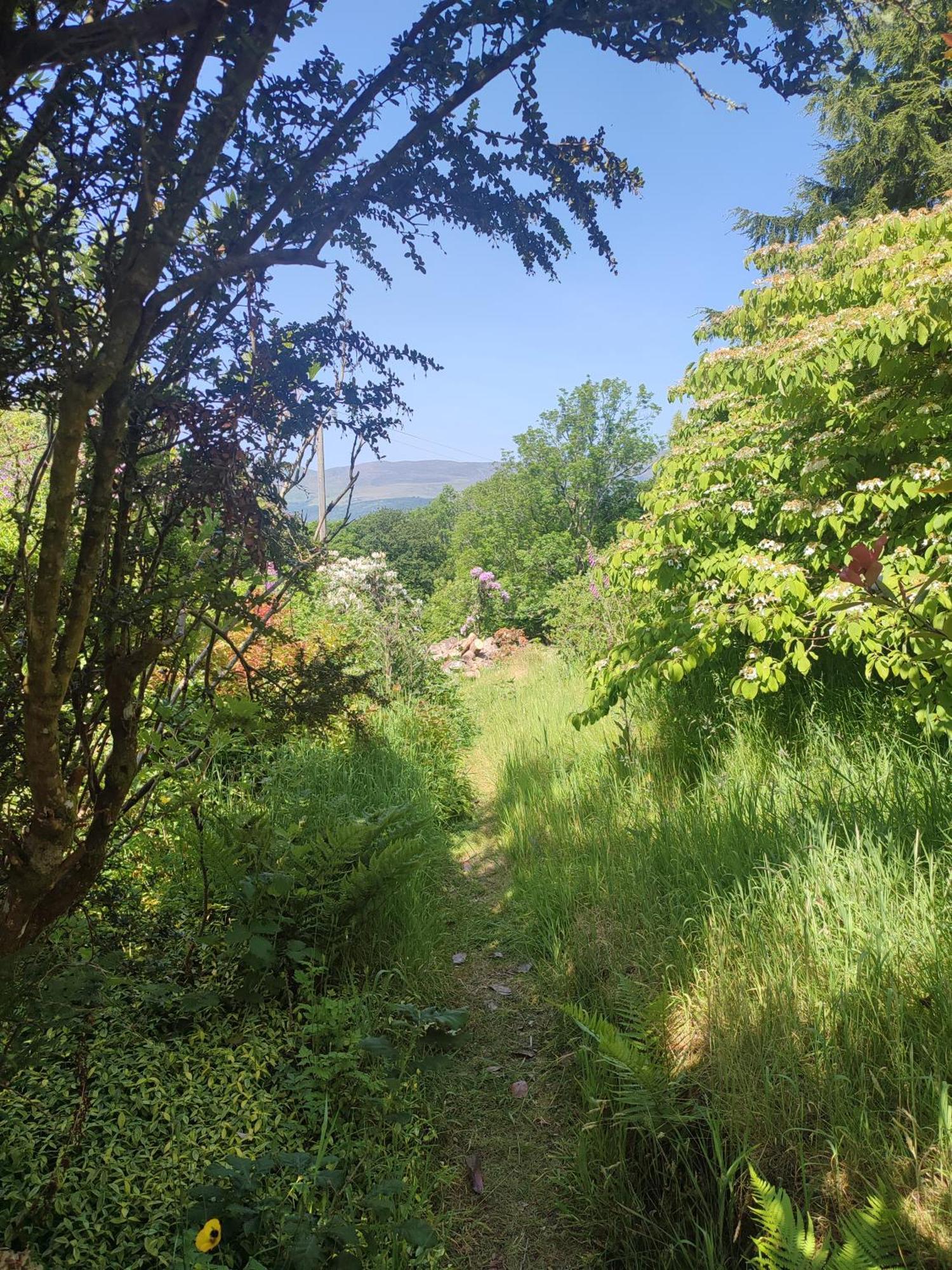 Willa Y Cwtch - Panoramic Mountain Views Within Snowdonia'S National Park - 4X4 Recommended Dolgellau Zewnętrze zdjęcie